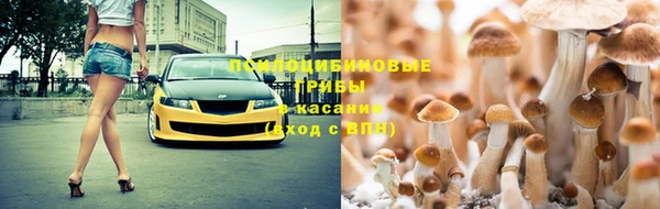 ГАЛЛЮЦИНОГЕННЫЕ ГРИБЫ Балахна