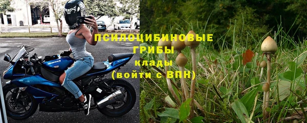 ГАЛЛЮЦИНОГЕННЫЕ ГРИБЫ Балахна