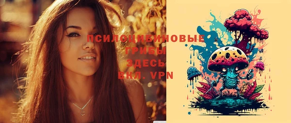 ГАЛЛЮЦИНОГЕННЫЕ ГРИБЫ Балахна