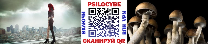 Галлюциногенные грибы ЛСД  Новомосковск 